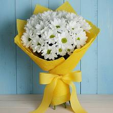 Букет цветов из:  Хризантемы в Бикине