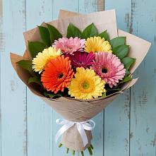 Букет цветов из:  Герберы #REPLACE_PRED# Бикине