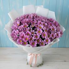 Букет цветов из:  Хризантемы в Бикине