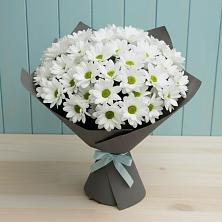 Букет цветов из:  Хризантемы в Бикине