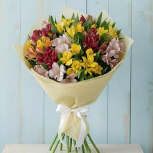 Букет цветов из:  Альстромерии в Бикине